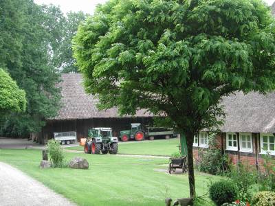 Ferienwohnung I Urlaub in der Lneburger Heide